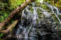 Waterfall in the Forest Royalty Free Stock Photo