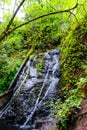 Waterfall in the Forest Royalty Free Stock Photo