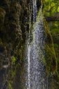 A waterfall in a WWF oasi Royalty Free Stock Photo