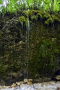 A waterfall in a WWF oasi Royalty Free Stock Photo