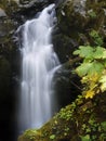 Waterfall Yosemite Mountains, National Park Royalty Free Stock Photo