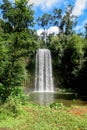 Waterfall in Yungaburra, Australia Royalty Free Stock Photo