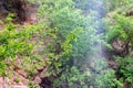 Waterfall at Zion National Park, Emerald Pools Trail, Utah Royalty Free Stock Photo