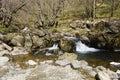 Waterfalls on Aira Beck as it flows through woodland