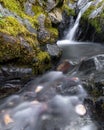 Waterfalls along the Deer Creek Tribute Trail in Nevada City, California