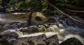 Waterfalls on the Black River, New Jersey Royalty Free Stock Photo