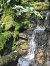 Waterfalls create beautiful scenes