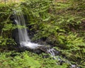 Waterfalls in Canonteign in South Devon