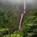 Waterfalls in the carribean. Amazing tropical forest