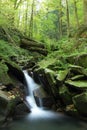 Waterfalls and cascades of the river Satina in the Moravian Beskydy Mountains