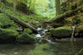 Waterfalls and cascades of the river Satina in the Moravian Beskydy Mountains