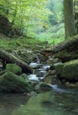 Waterfalls and cascades of the river Satina in the Moravian Beskydy Mountains Royalty Free Stock Photo