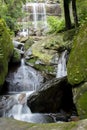 Waterfalls, clear, beautiful, green, plants, moss, rocks.