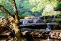 Waterfalls and driftwood in Tennessee landscape Royalty Free Stock Photo