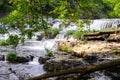 Waterfalls and driftwood in Tennessee landscape Royalty Free Stock Photo