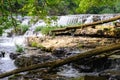 Waterfalls and driftwood in Tennessee landscape Royalty Free Stock Photo