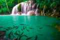 Waterfalls and fish swim in the emerald blue water in Erawan National Park. Erawan Waterfall is a beautiful natural rock waterfall Royalty Free Stock Photo