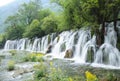 Waterfalls and flower