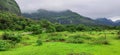 Waterfalls flowing from scenic Western Ghats mountains of Tamhini near Pune Maharashtra during monsoon season Royalty Free Stock Photo