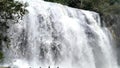 Waterfalls - Gandihati waters falls in Odhisa, India - HD(4K)