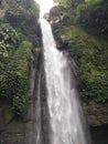 WATERFALLS IN GREEN MOUSY CLIFT