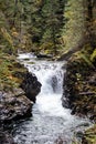 Waterfalls at Little Qualicum Falls Provincial Park, B.C Royalty Free Stock Photo