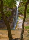 Waterfalls on Lower Calf Creek framed by trees