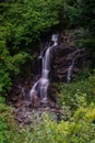 waterfalls at mt. rainier