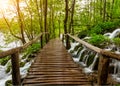 Waterfalls and pathway in the Plitvice National Park, Croatia Royalty Free Stock Photo