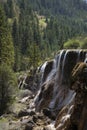 Waterfalls by Pine Forest