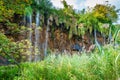 Waterfalls reflected in the lake. The magnificent landscape of the waterfall and lake. Majestic view of the Plitvice