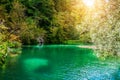 Waterfalls reflected in the lake. The magnificent landscape of the waterfall and lake. Majestic view of the Plitvice