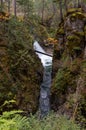 Waterfalls and river at Little Qualicum Falls Provincial Park, B.C Royalty Free Stock Photo