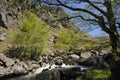 Waterfalls on River Tywi Royalty Free Stock Photo