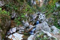 Trip to Mendelikh waterfalls, deep forest
