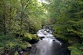 Waterfalls at Watersmeet, Lynmouth, Exmoor, North Devon Royalty Free Stock Photo