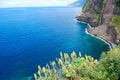 The waterfalls of Seixal in Madeira Royalty Free Stock Photo