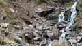 Waterfalls in a small canyon with stone walls. Beautiful cascade in the mountains. river in the Carpathians in the mountain autumn Royalty Free Stock Photo