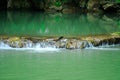 Waterfalls in small nature in the forests Royalty Free Stock Photo