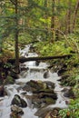 Waterfalls in the Smoky Mountains Royalty Free Stock Photo