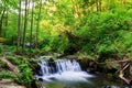 The waterfalls in the summer forest Royalty Free Stock Photo