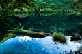 Waterfalls and Trees in Jiuzhaigou Valley, Sichuan, China Royalty Free Stock Photo