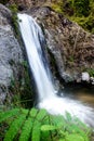 Waterfalls tropical survey water Royalty Free Stock Photo