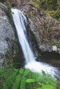 Waterfalls tropical survey water Royalty Free Stock Photo