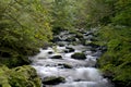 Waterfalls at Watersmeet, Lynmouth, Exmoor, North Devon Royalty Free Stock Photo