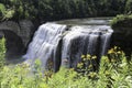 Waterfalls and wildflowers