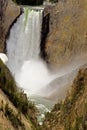 Waterfalls of Yellowstone National Park. Royalty Free Stock Photo