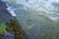 Waterflow. Water flowing over the rock. Mountain river Royalty Free Stock Photo