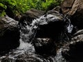 Waterflowing through stones in forest. Royalty Free Stock Photo
