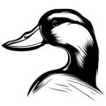 Waterfowl duck animal head